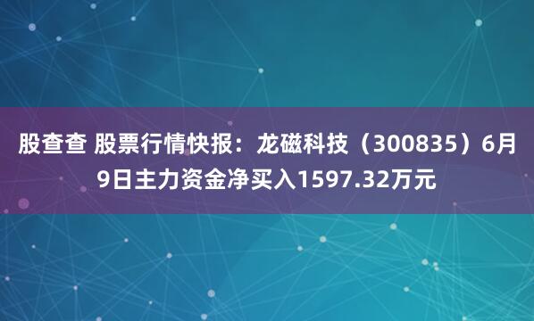股查查 股票行情快报：龙磁科技（300835）6月9日主力资金净买入1597.32万元