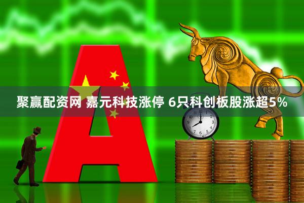 聚赢配资网 嘉元科技涨停 6只科创板股涨超5%